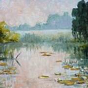 Mist Over Water Lilies Pond Poster