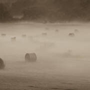 Misty Hay Bales Poster