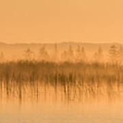 Misty Morning Floating Bog Island On Boy Lake Poster