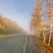 Misty Morning Road Poster