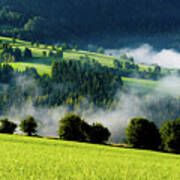 Misty Valley In Austria Poster
