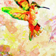 Modern Expressive Hummingbird Poster