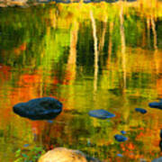 Monet Autumnal Poster