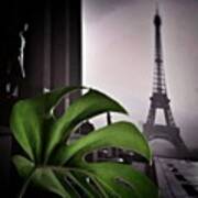 Monstera Délicieuse
#paris #plant Poster