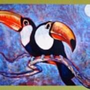 Moon Light Toucans Two Poster