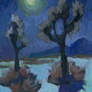 Moonlight And Joshua Tree Poster