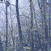 Mist In Moonlit Woods Poster
