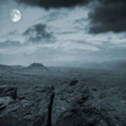 Moonlit Desert Poster