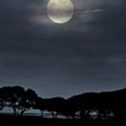 Moonrise Over The Marsh. Poster