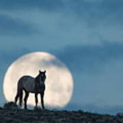 Moonstruck Poster