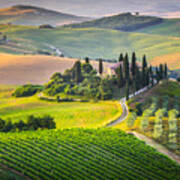 Morning In Tuscany Poster