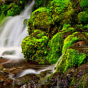 Mossy Rocks And Spring Rain Runoff Poster