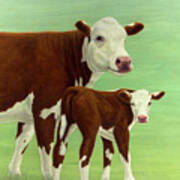 Mother And Child Cows Poster