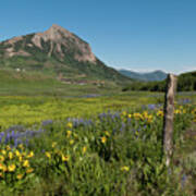 Mount Crested Butte Early Evening Summer Poster