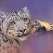 Mountain Guardian Snow Leopard Art Poster