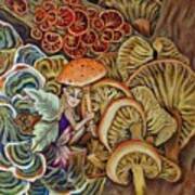 Mushroom Fairy Poster