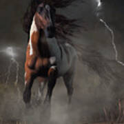 Mustang Horse In A Storm Poster