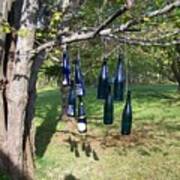 My Bottle Tree - Photograph Poster