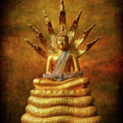 Naga Buddha Poster