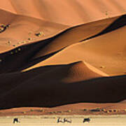 Namib Dunes Poster