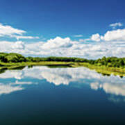 National Park Wetlands Of The River Danube In Austria Poster