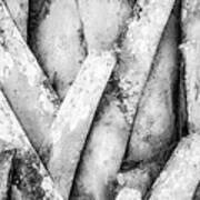 Natures Abstract Black And White Poster