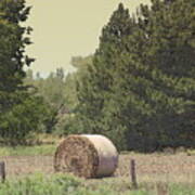 Nebraska Farm Life - Hay Bail Poster