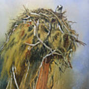 Nesting Osprey Poster
