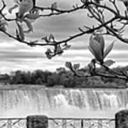 Niagara American Falls Spring Poster