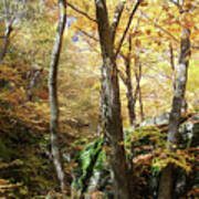 Niche In Smuggler's Notch Poster