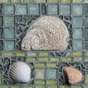 North Sea Shells Poster