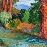 North Valley Acequia Poster