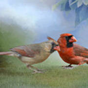 Northern Cardinals On A Spring Day Poster