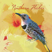 Northern Flicker Watercolor Photo Poster