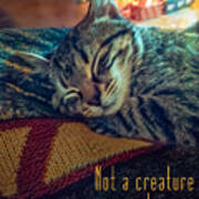 Not A Creature Was Stirring Poster