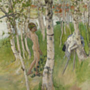 Nude Boy among Birches Poster by Carl Larsson | Fine Art America