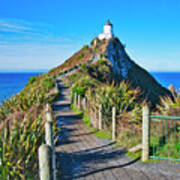 Nugget Point Lighthouse - Catlins - New Zealand Poster