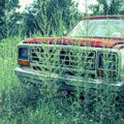 Old Abandoned Pickup Truck In The Weeds Poster