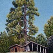 Old Cabin In The Pines Poster
