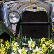 Old Car And Daffodils Poster