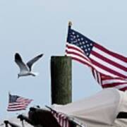 Old Glory And Gull Poster