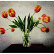 Old World Tulips Poster