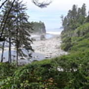 Olympic National Park Beach Poster