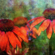 Orange Cones And Lavender 2622 Idp_2 Poster