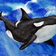 Orca Baby Poster