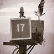 Osprey Landing On Channel Marker 17 Poster