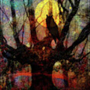 Owl And Willow Tree Poster