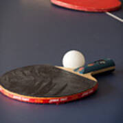 Paddles And Ball Poster