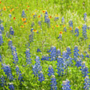 Painterly Scenes From Texas. Poster