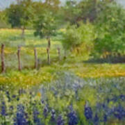 Painting Of Texas Bluebonnets Poster